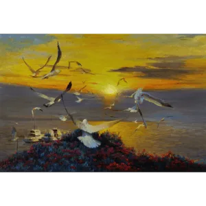 Morning Song - Gisborne New Zealand