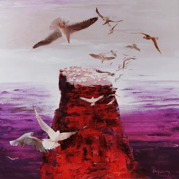 Returning at Dusk - Muriwai Gannet Colony, New Zealand