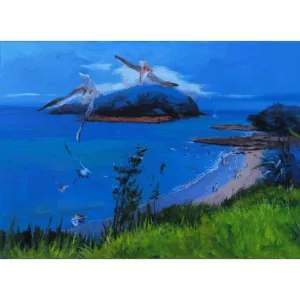 The Scenic Goat Island in Auckland