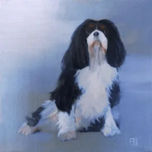 Puppy