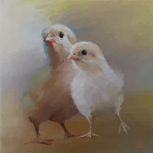 Chicks
