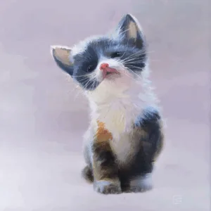 Kitten