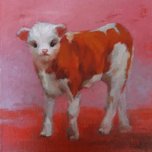 Calf
