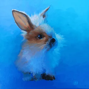 Rabbit