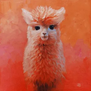 Little Alpaca