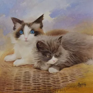 Two Cats