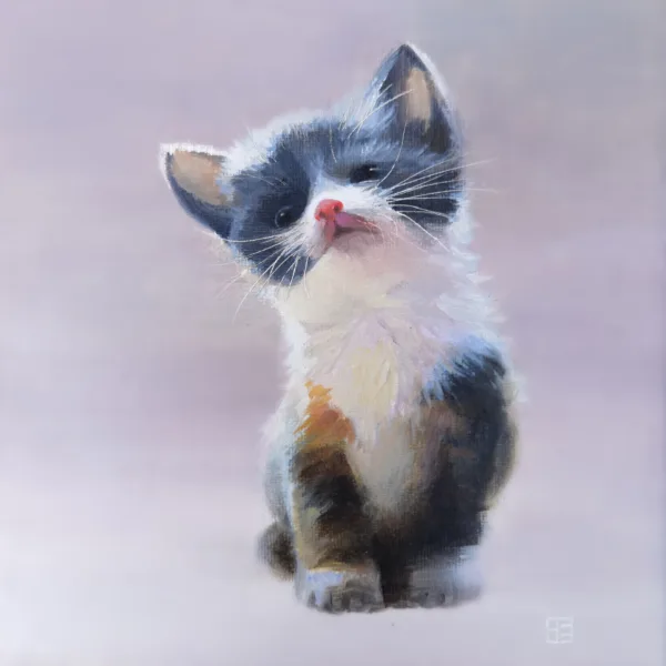 Kitten