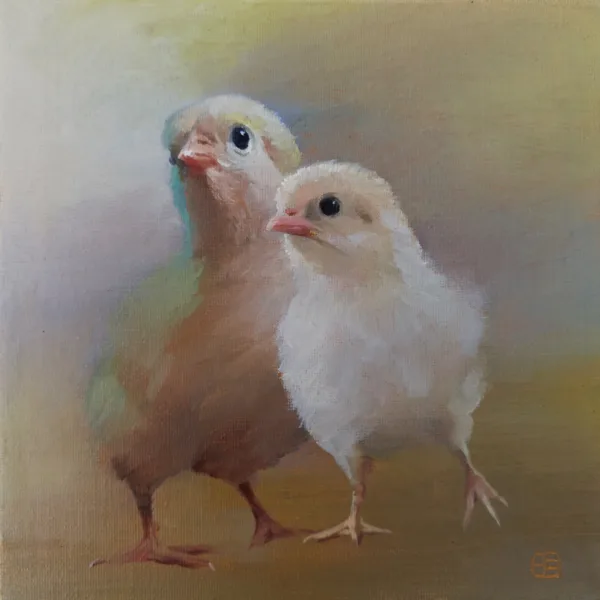 Chicks
